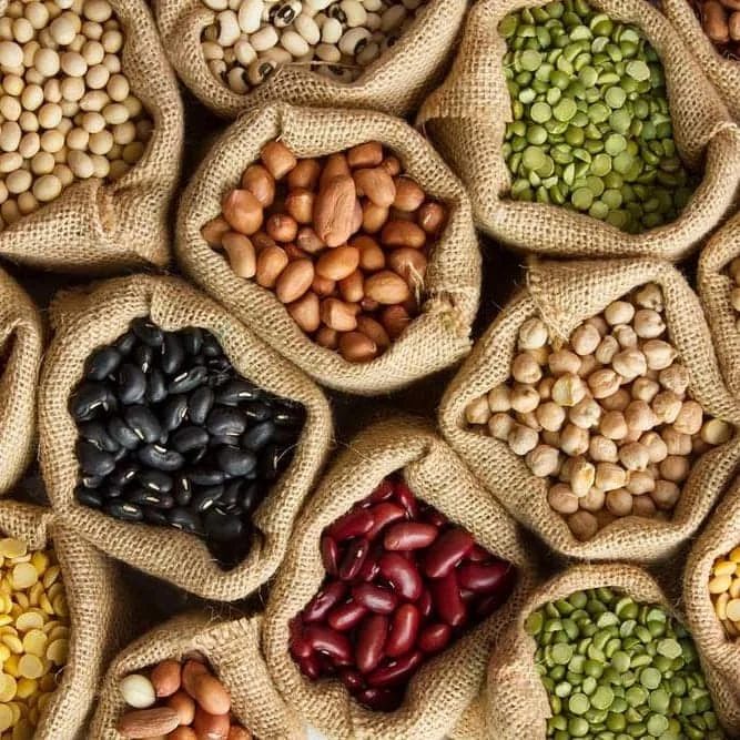 Les semences locales