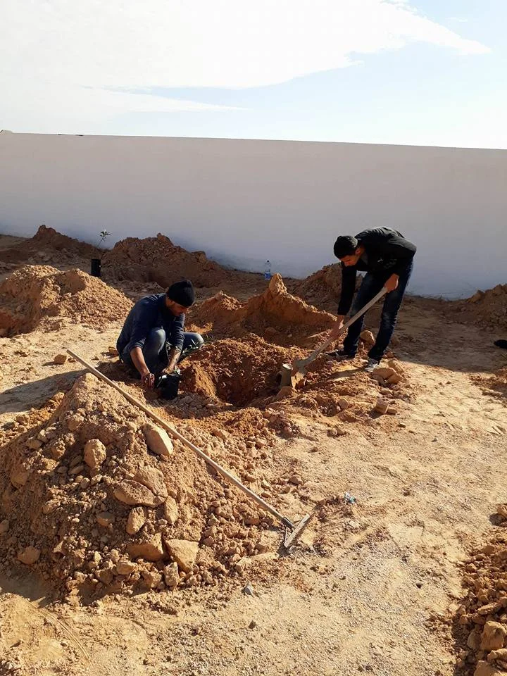 Les Oasis-Forêt de Mareth